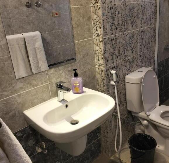 اتاق لوکس با تخت بزرگ, Aswan Nile Palace