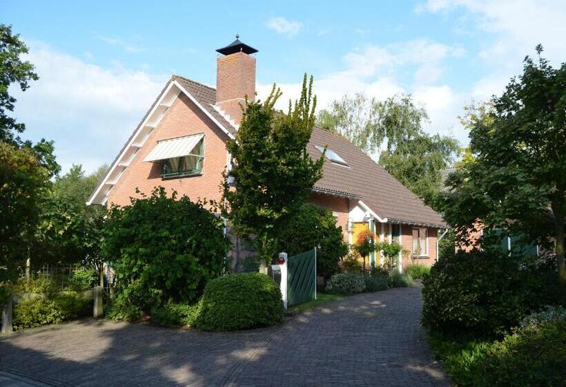اتاق استاندارد, De Strandkamer