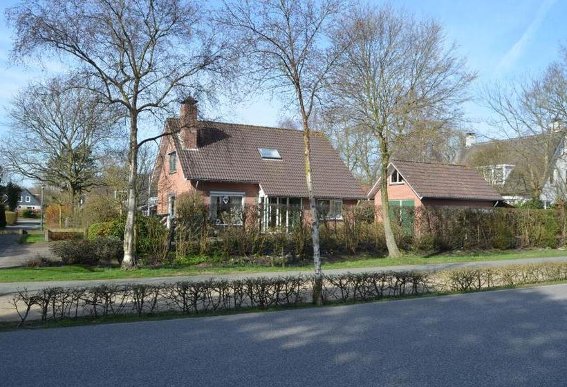 اتاق استاندارد, De Strandkamer