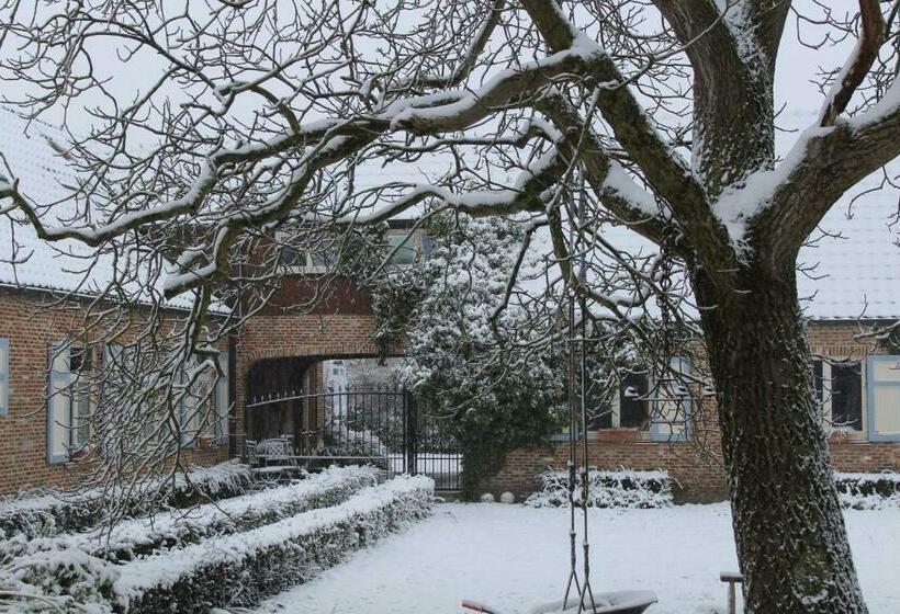 استودیوی لوکس, Saffels Nest 33