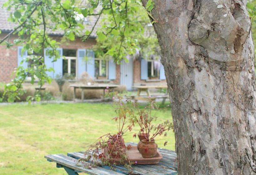 استودیوی لوکس, Saffels Nest 33