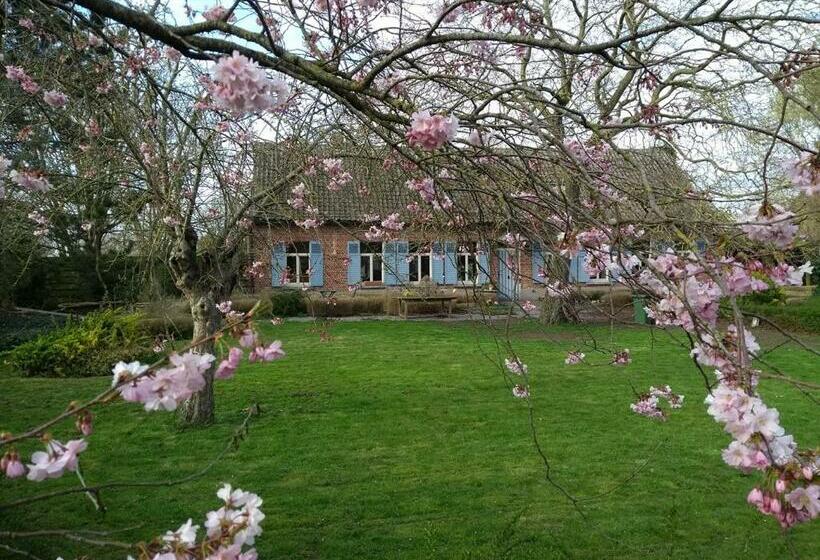 استودیوی لوکس, Saffels Nest 33