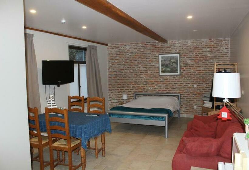 استودیوی لوکس, Saffels Nest 33