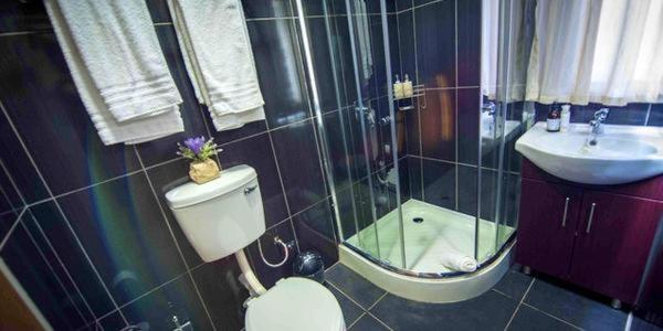 اتاق استاندارد, Wild Fig Accommodation