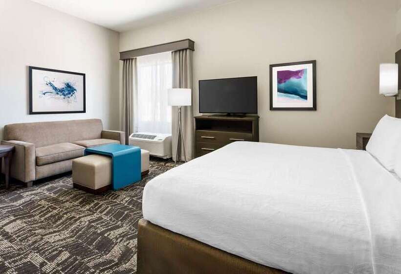 استودیو استاندارد با تخت کینگ, Embassy Suites By Hilton Knoxville West