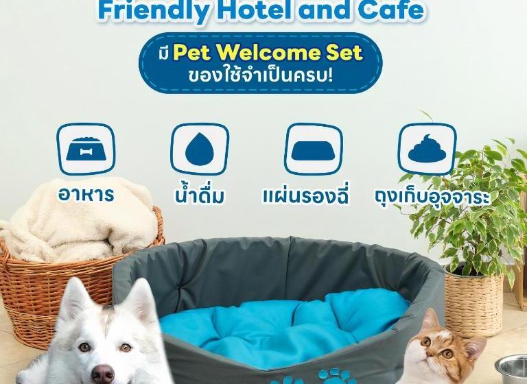 اتاق لوکس, Ketawa Pet Friendly
