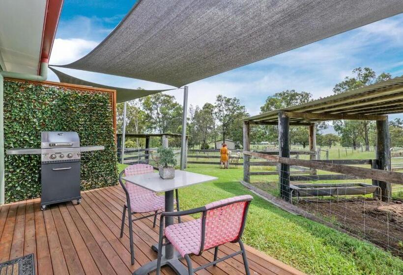 سوییت, Starline Alpacas Farmstay Resort