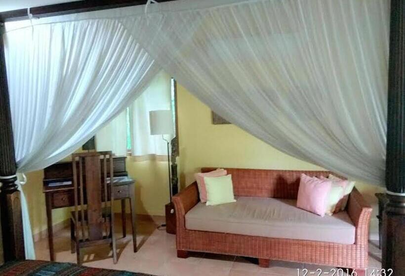 سوییت با چشم‌انداز دریا, Sea World Club Beach Resort & Dive Center