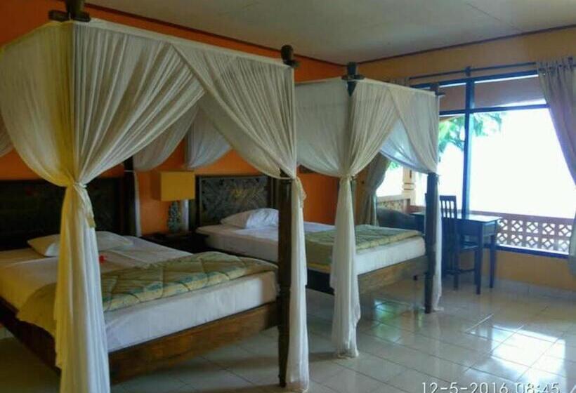 اتاق لوکس با چشم‌انداز دریا, Sea World Club Beach Resort & Dive Center