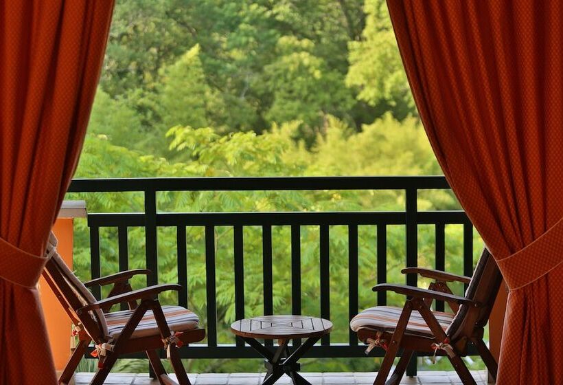 اتاق سوپریور, Hôtel Les Frères Ibarboure