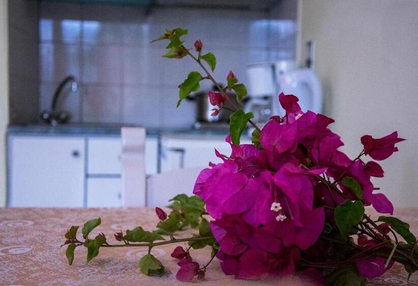 استودیوی استاندارد, Alkion