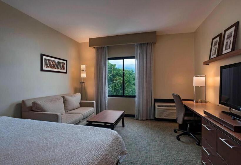 اتاق سوپریور با تخت بزرگ, Courtyard By Marriott San Salvador