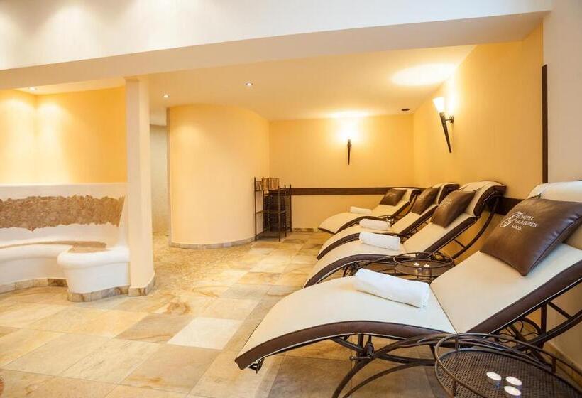 اتاق استاندارد چهارنفره با بالکن, Glasererhaus