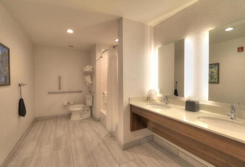 اتاق استاندارد برای معلولان, Holiday Inn & Suites Pigeon Forge Convention Center, An Ihg