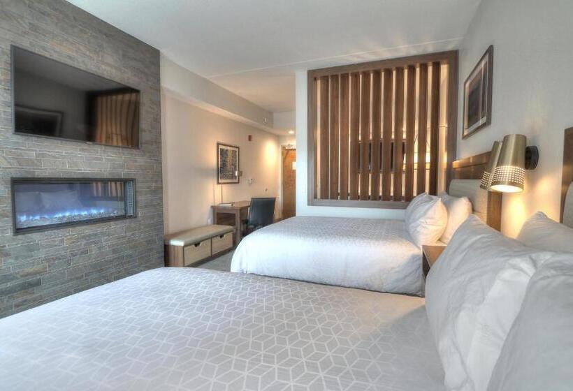 اتاق استاندارد برای معلولان, Holiday Inn & Suites Pigeon Forge Convention Center, An Ihg