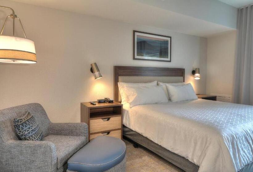 اتاق استاندارد با تخت بزرگ, Holiday Inn & Suites Pigeon Forge Convention Center, An Ihg