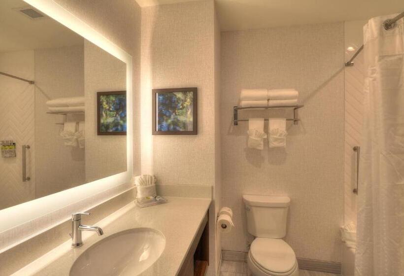 اتاق استاندارد با چشم‌انداز رودخانه, Holiday Inn & Suites Pigeon Forge Convention Center, An Ihg