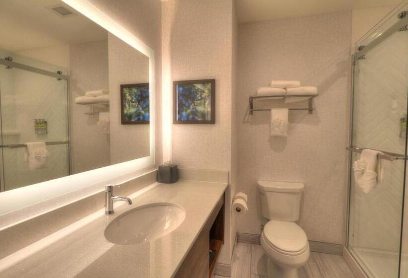 سوئیت با تخت بزرگ, Holiday Inn & Suites Pigeon Forge Convention Center, An Ihg