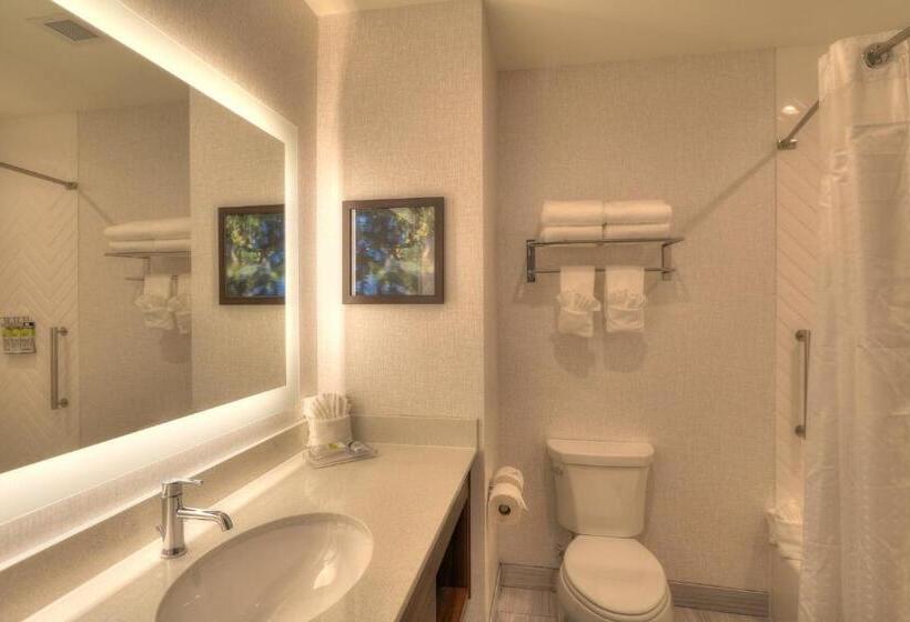 سوئیت با چشم‌انداز رودخانه, Holiday Inn & Suites Pigeon Forge Convention Center, An Ihg