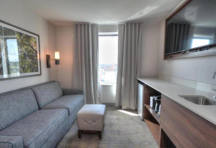 سوئیت با چشم‌انداز رودخانه, Holiday Inn & Suites Pigeon Forge Convention Center, An Ihg