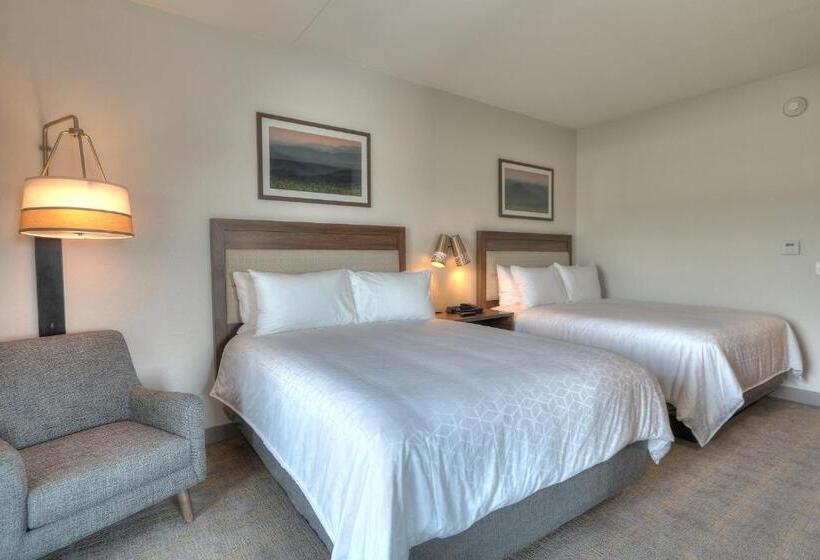 سوئیت با چشم‌انداز رودخانه, Holiday Inn & Suites Pigeon Forge Convention Center, An Ihg