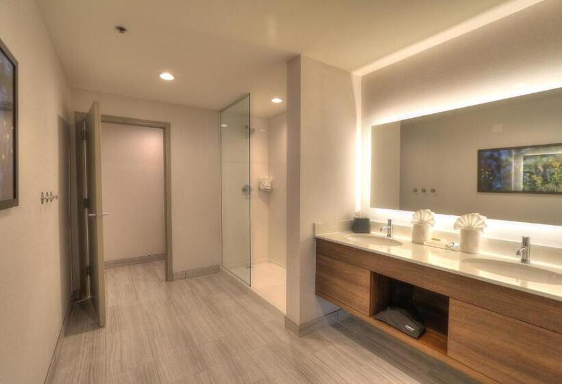 سوئیت با چشم‌انداز, Holiday Inn & Suites Pigeon Forge Convention Center, An Ihg