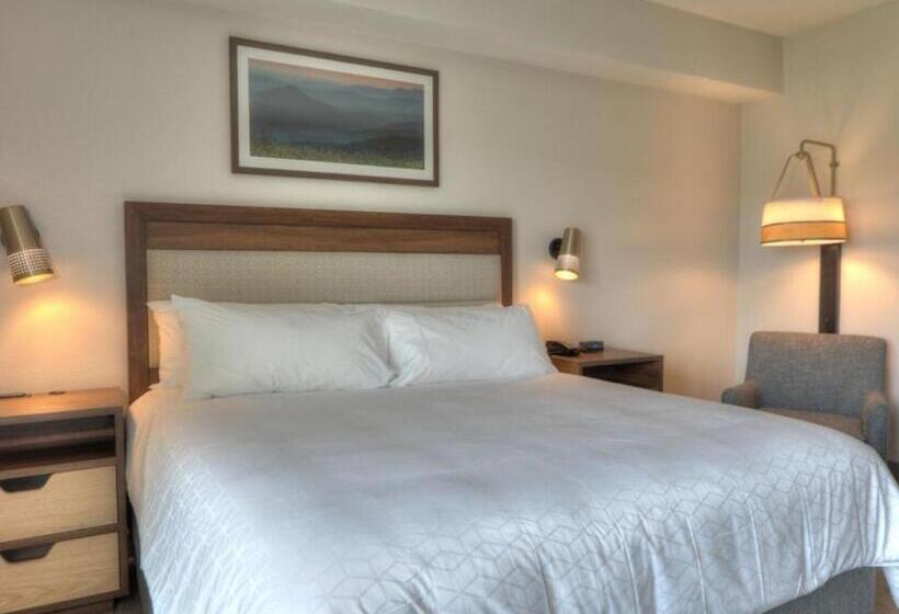 اتاق استاندارد برای معلولان, Holiday Inn & Suites Pigeon Forge Convention Center, An Ihg