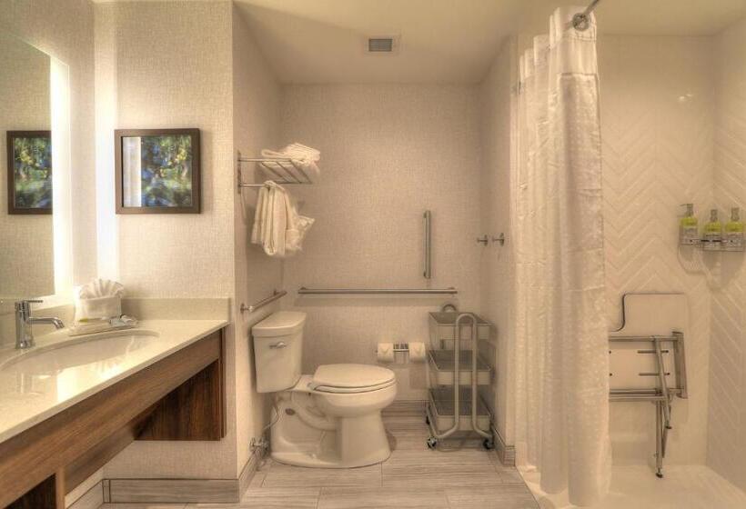 اتاق استاندارد برای معلولان, Holiday Inn & Suites Pigeon Forge Convention Center, An Ihg