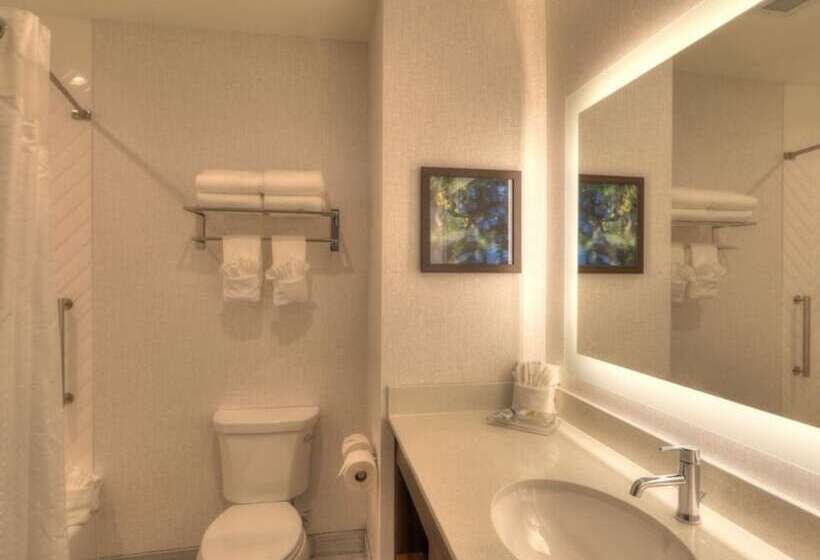اتاق استاندارد, Holiday Inn & Suites Pigeon Forge Convention Center, An Ihg