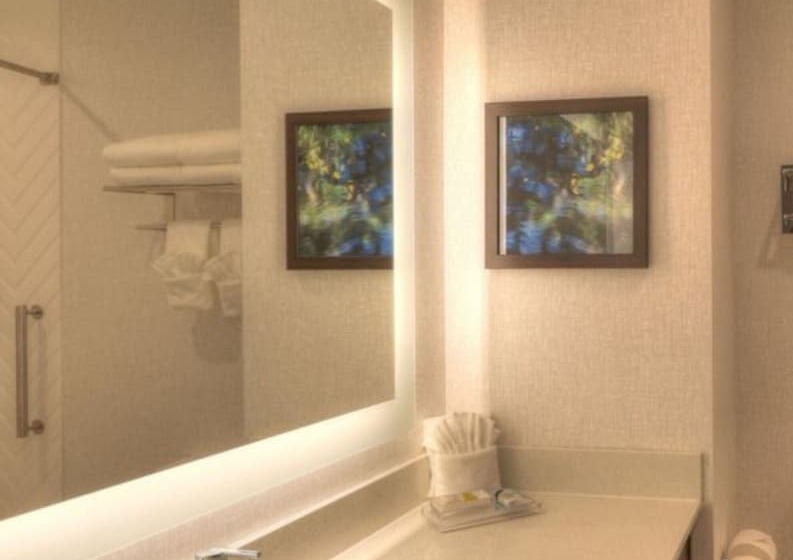 سوئیت با چشم‌انداز, Holiday Inn & Suites Pigeon Forge Convention Center, An Ihg