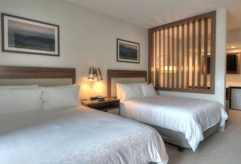 سوئیت با چشم‌انداز رودخانه, Holiday Inn & Suites Pigeon Forge Convention Center, An Ihg