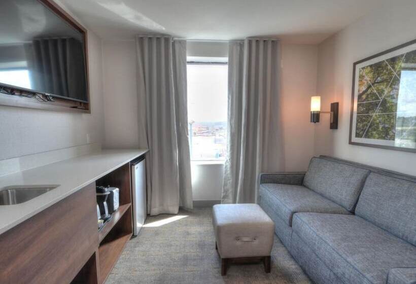 سوئیت با چشم‌انداز رودخانه, Holiday Inn & Suites Pigeon Forge Convention Center, An Ihg