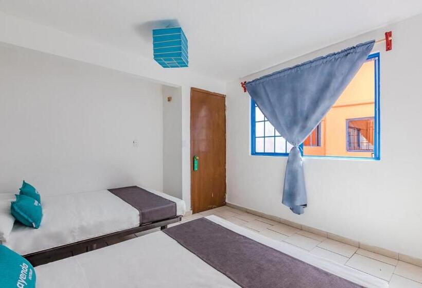Economy Quadruple Room, Oasis Airport