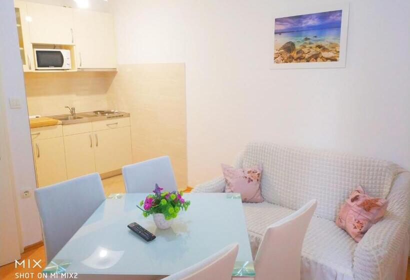 سوئیت با تخت بزرگ, Apartments And Rooms With Parking Space Mlini, Dubrovnik   8835