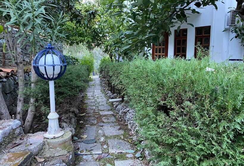 استودیو استاندارد با چشم‌انداز باغ, Naturella Apart