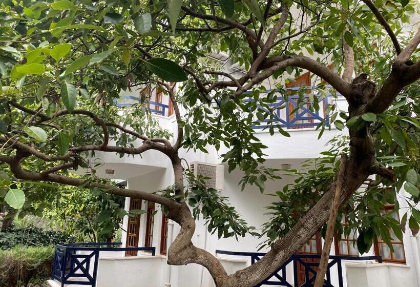 سوئیت با بالکن, Naturella Apart