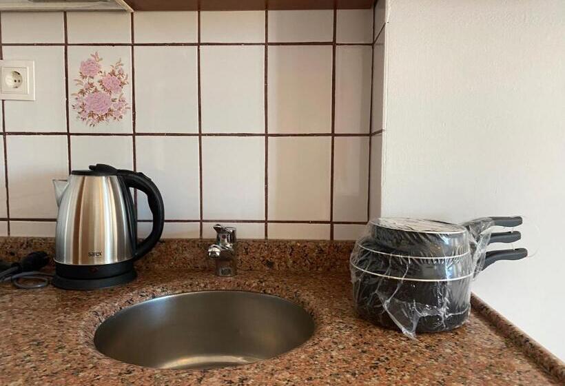 استودیوی استاندارد با چشم‌انداز دریا, Naturella Apart