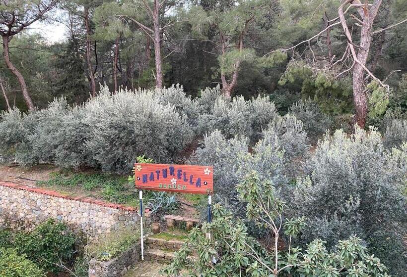 سوئیت با بالکن, Naturella Apart