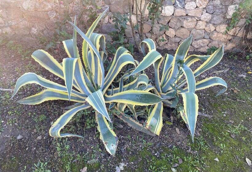 اتاق استاندارد, Naturella Apart