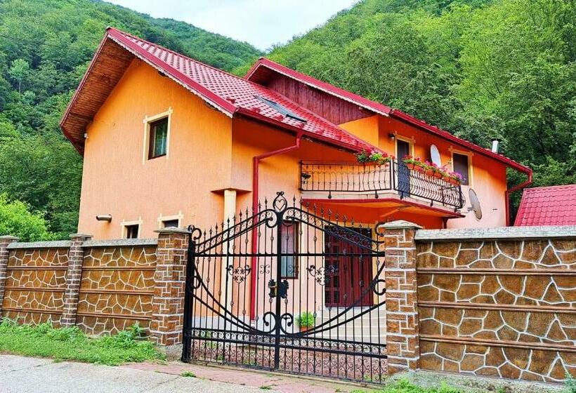 آپارتمان سوپریور 1 خوابه, Casa Ana