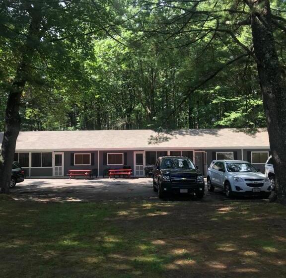 آپارتمان 1 خوابه همکف, Elmwood Motor Court