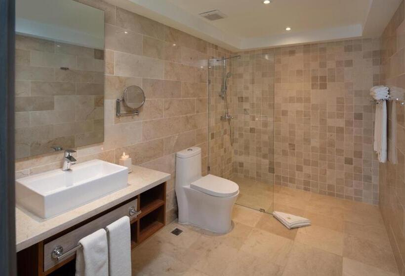 استودیوی استاندارد, Presidential Suites Cabarete   Room Only