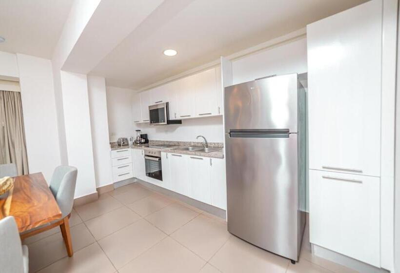 آپارتمان 1 خوابه با چشم‌انداز باغ, Presidential Suites Cabarete   Room Only