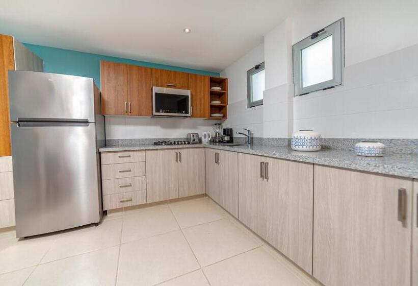 آپارتمان 1 خوابه با چشم‌انداز دریا, Presidential Suites Cabarete   Room Only