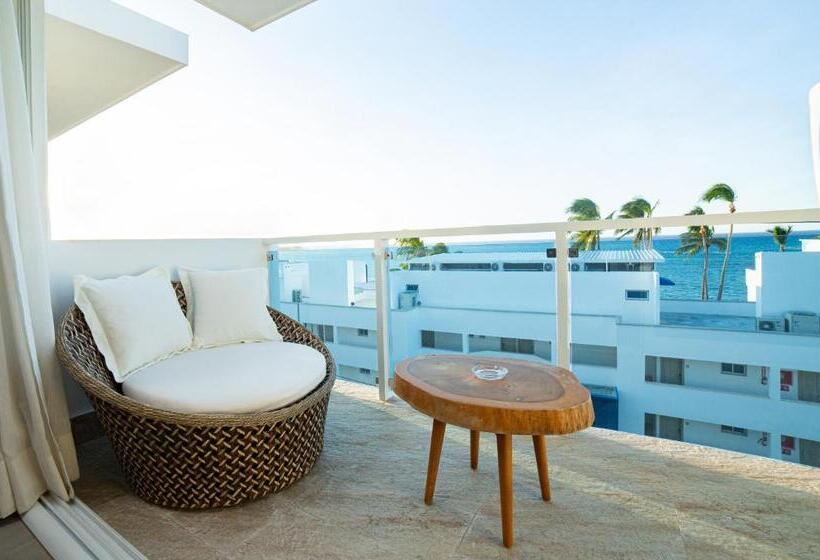 آپارتمان 1 خوابه با چشم‌انداز استخر, Presidential Suites Cabarete   Room Only