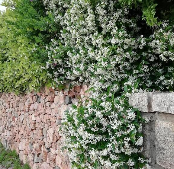 سوییت جونیور, La Forma Dell Acqua