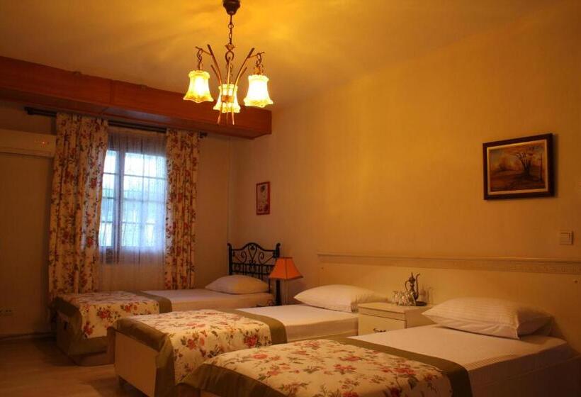 Economy Triple Room, Casa Villa