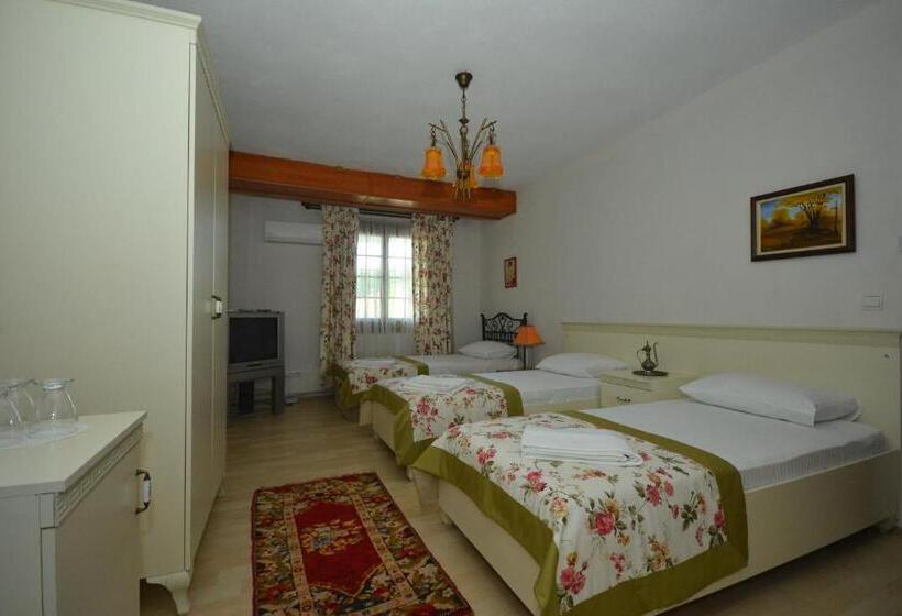 Economy Triple Room, Casa Villa