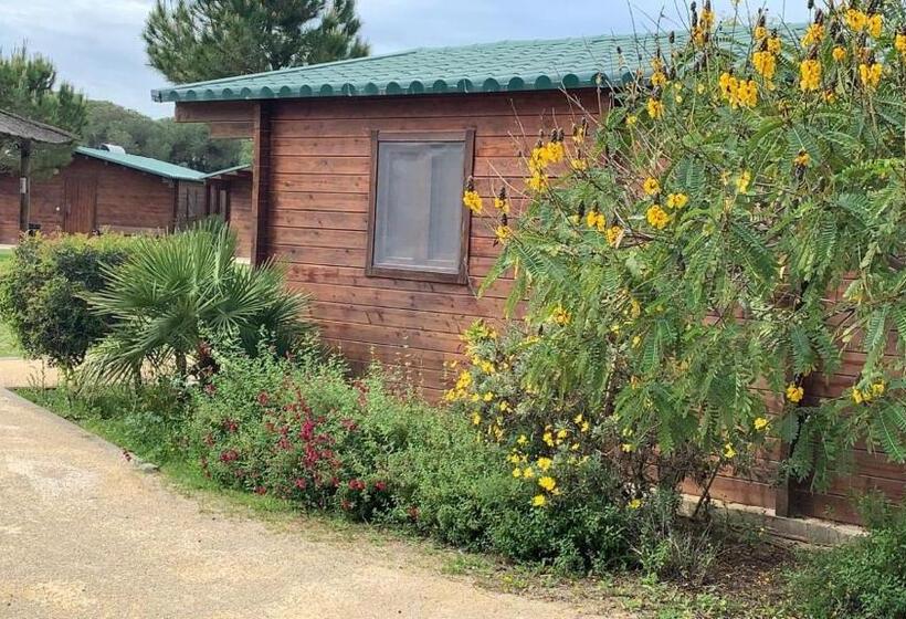 بانگلوی استاندارد, Alojamiento Rural Coto De La Isleta