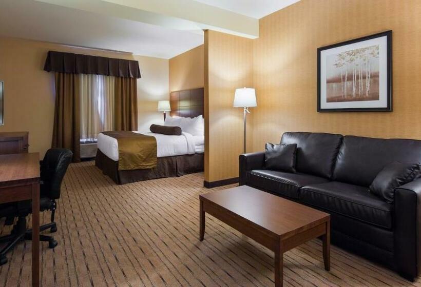 اتاق استاندارد با تخت بزرگ برای معلولان, Best Western Plus, Bathurst Hotel & Suites